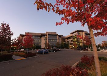 Microsoft campus - panoramio