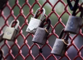 A close-up view of various padlocks secured to a red wire fence, symbolizing security and unity.