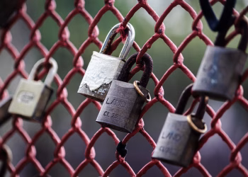 A close-up view of various padlocks secured to a red wire fence, symbolizing security and unity.