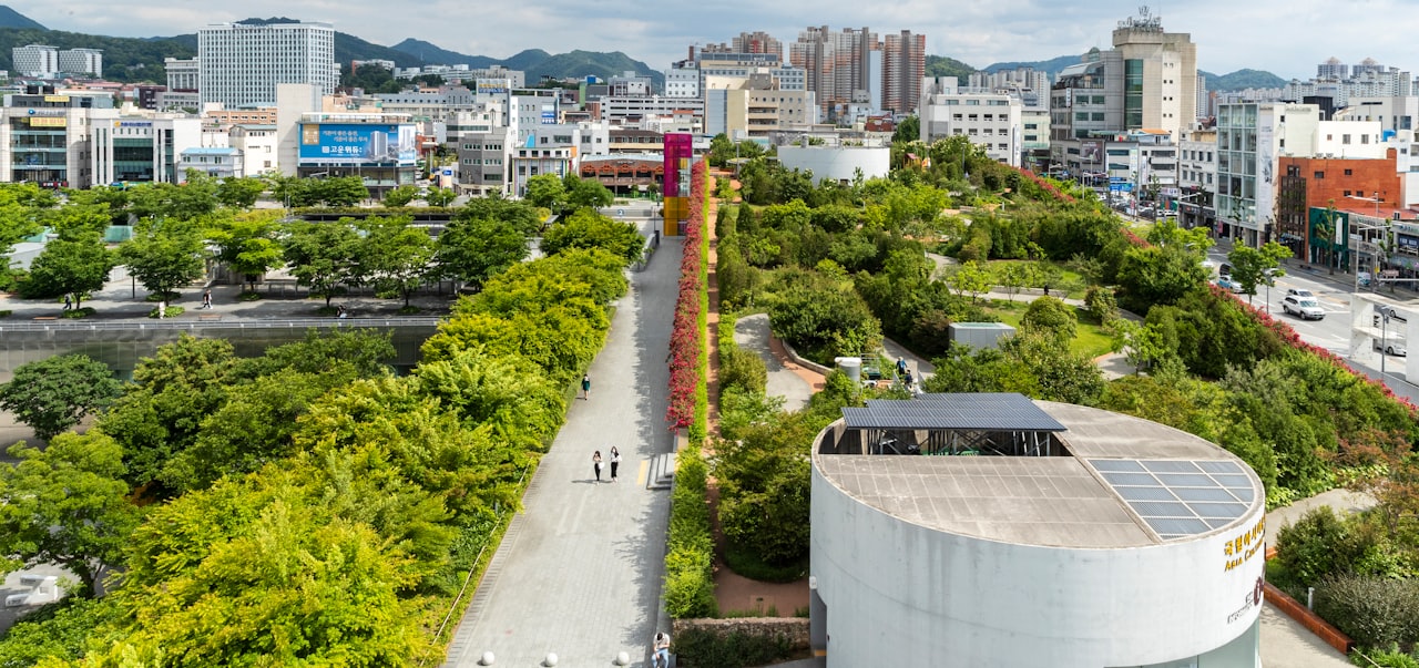 green trees near city buildings during daytime