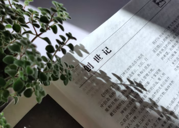 Close-up of a Chinese Bible page partially covered by a plant shadow.