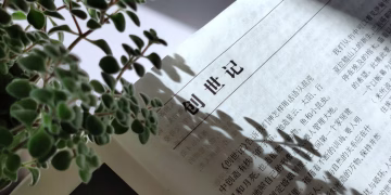 Close-up of a Chinese Bible page partially covered by a plant shadow.