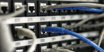 blue UTP cord