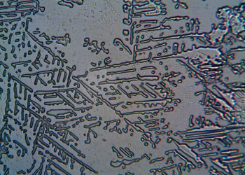 Detailed close-up of frosted glass with intricate winter patterns.