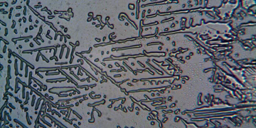Detailed close-up of frosted glass with intricate winter patterns.