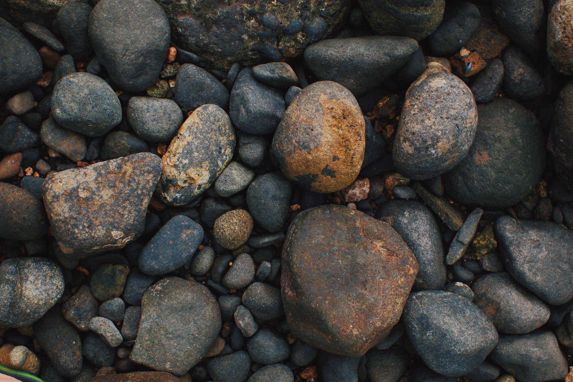 A close-up view of smooth river stones showcasing natural texture and color diversity.