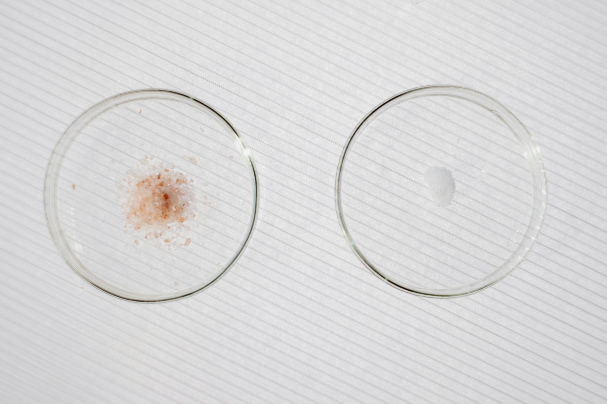 Top view of a minimalist chemistry experiment with two petri dishes on a white background.