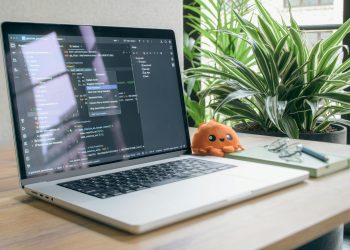 A modern home office setup featuring a laptop with coding software, a plant, and a plush toy.