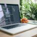 A modern home office setup featuring a laptop with coding software, a plant, and a plush toy.