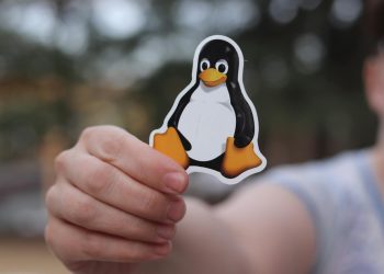 A close-up shot of a hand holding a penguin sticker against a blurred outdoor background.