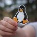 A close-up shot of a hand holding a penguin sticker against a blurred outdoor background.