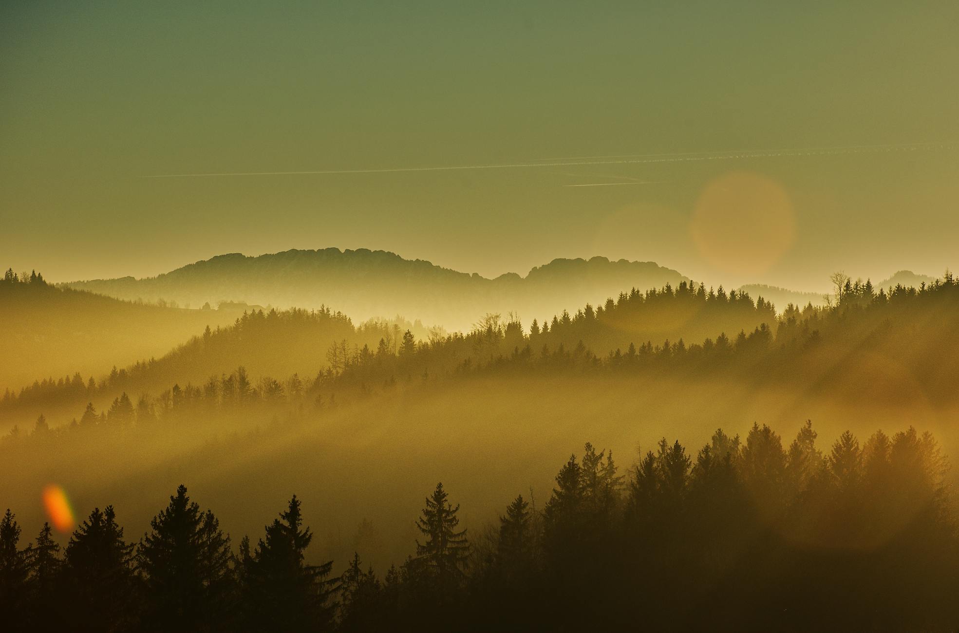 Captivating sunset over a forest with light streaks illuminating tree silhouettes.