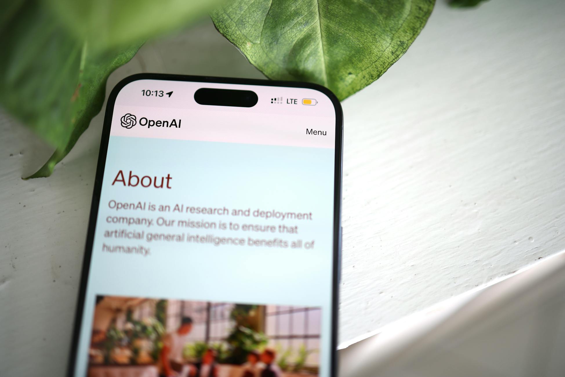 Close-up shot of a smartphone screen showing the OpenAI website with greenery in the background.