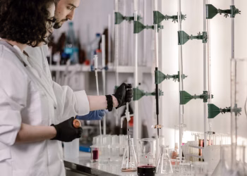 Scientists in lab coats work with test tubes in a modern laboratory.