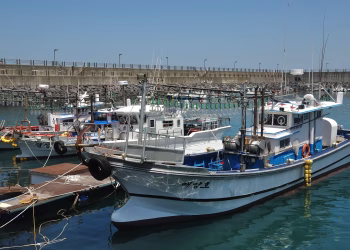 Fishing vessels docked at a harbor in South Korea under clear blue skies.