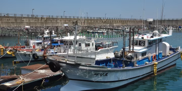 Fishing vessels docked at a harbor in South Korea under clear blue skies.