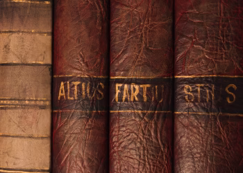 Detailed close-up of antique leather book bindings with ornate texture and golden text.