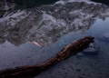 Serene mountain reflection in a calm lake with a weathered log in the foreground.