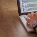 Close-up of a person coding on a laptop, showcasing web development and programming concepts.