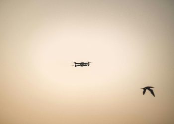 A silhouette of a drone flying alongside a bird in the warm twilight sky.