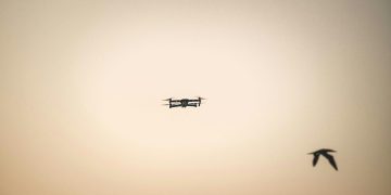A silhouette of a drone flying alongside a bird in the warm twilight sky.