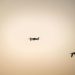 A silhouette of a drone flying alongside a bird in the warm twilight sky.