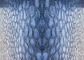 Close-up view of a detailed ice texture resembling reptile skin, capturing nature's design.