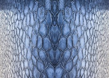 Close-up view of a detailed ice texture resembling reptile skin, capturing nature's design.