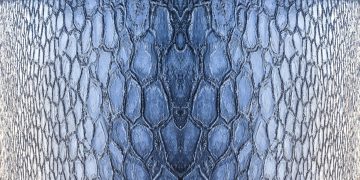 Close-up view of a detailed ice texture resembling reptile skin, capturing nature's design.