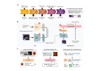 논문에서 의료 AI 학습 데이터를…MedPMC, 이미지-텍스트 1,100만쌍 구축 논문 원문에 수록된 연구 도식