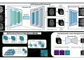 조영제 없이 뇌 MRI 조영 영상 만든다…해부학 인식 AA-ViT 제안 논문 원문에 수록된 연구 도식