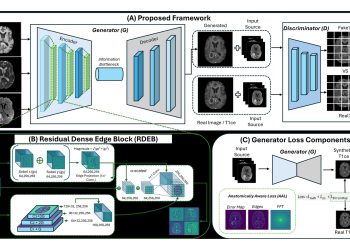 조영제 없이 뇌 MRI 조영 영상 만든다…해부학 인식 AA-ViT 제안 논문 원문에 수록된 연구 도식