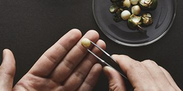 아모레퍼시픽 연구개발 과정에서 샘플을 집게로 선별하는 모습
