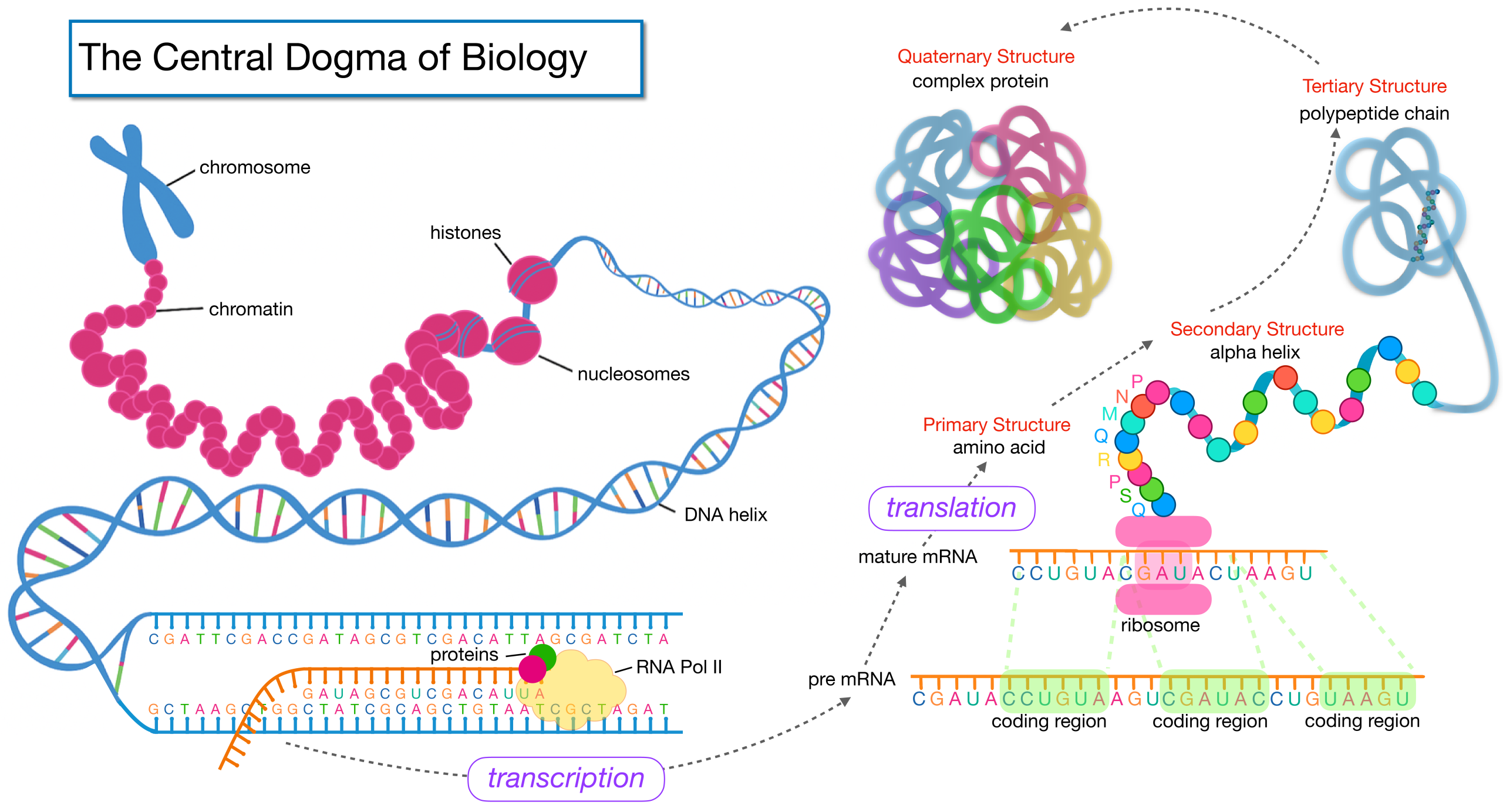 시퀀스 기반 사전지식과 확률 그래프 모델로 그린 GRN 추론: yeast·mouse·human 교차 검증과 B. subtilis 내부 평가 논문의 원문 Figure