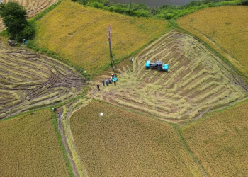 Drone shot capturing vibrant rice fields and farmers at work in Cam Lâm, Vietnam.