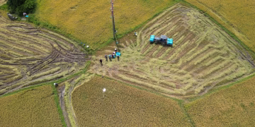 Drone shot capturing vibrant rice fields and farmers at work in Cam Lâm, Vietnam.