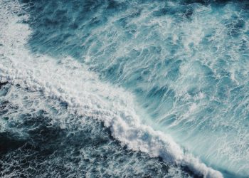 bird's-eye view of sea waves