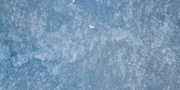 blue and white floral textile