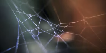Delicate spider web with soft focus, creating a serene and mysterious mood.