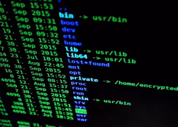 Close-up of colorful text on a computer screen, showcasing cybersecurity concepts.
