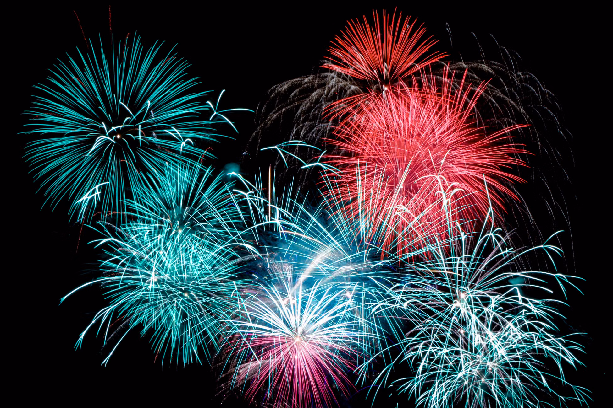 A stunning display of colorful fireworks illuminating the night sky, showcasing vibrant reds and blues.