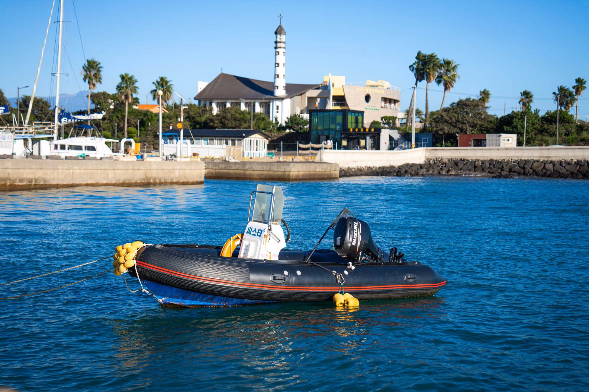 A tranquil view of a black inflatable boat moored in a South Korean harbor with lush palm trees and buildings.