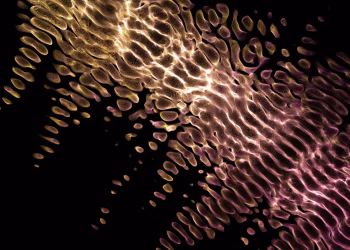 Vibrant abstract fractal design with glowing neon patterns on a dark background.