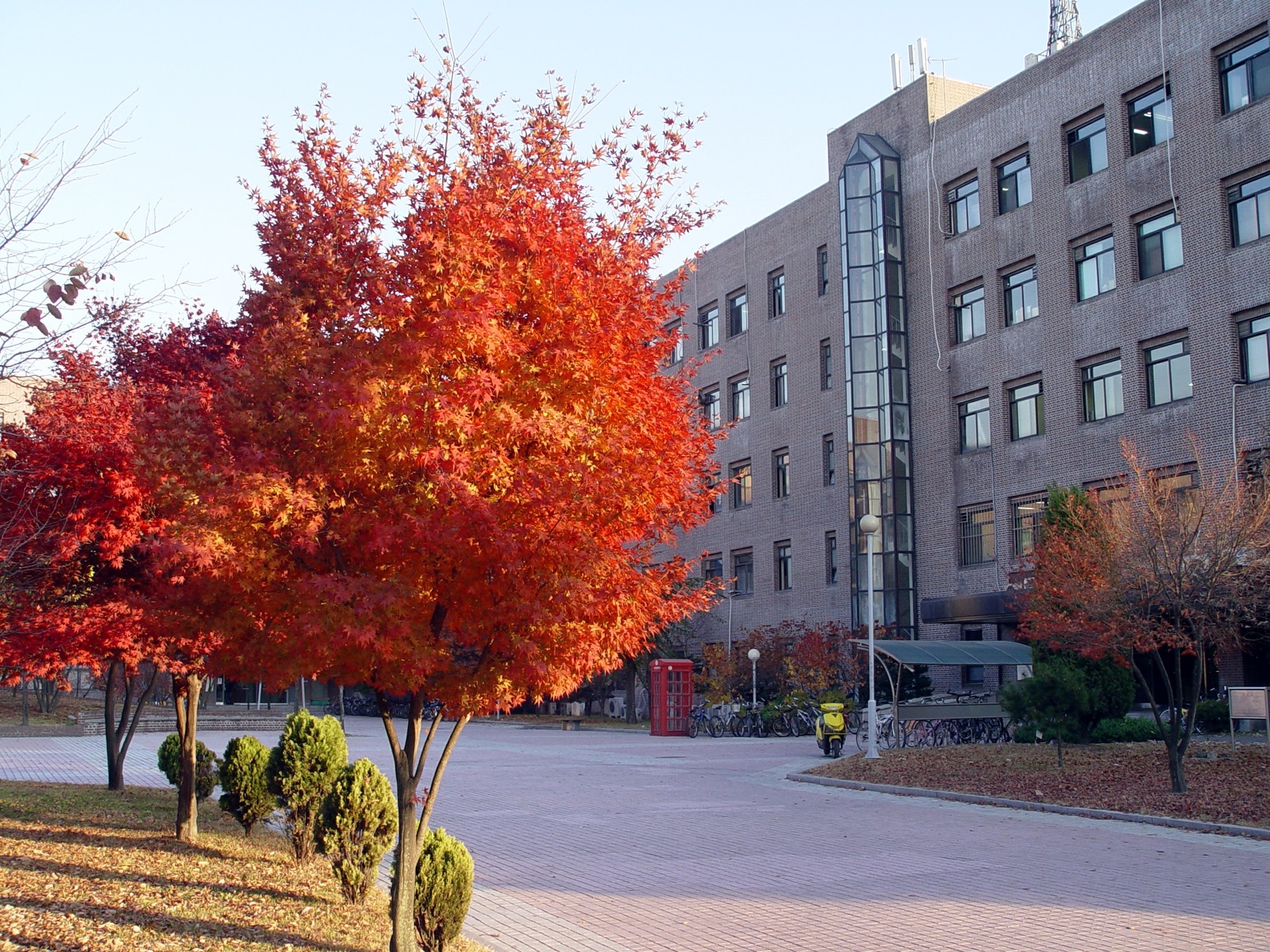 성균관대학교 수원캠퍼스 제2공학관 가을 전경 자료사진