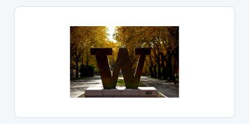 University of Washington 공식 로고