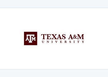Department of Computer Science and Engineering, Texas A&M University 공식 로고