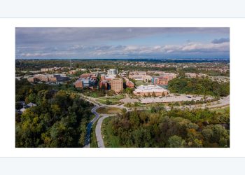 University of Maryland Baltimore County 공식 로고