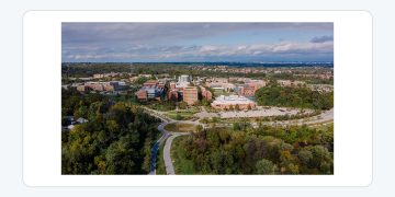 University of Maryland Baltimore County 공식 로고