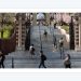 Tufts University 공식 로고