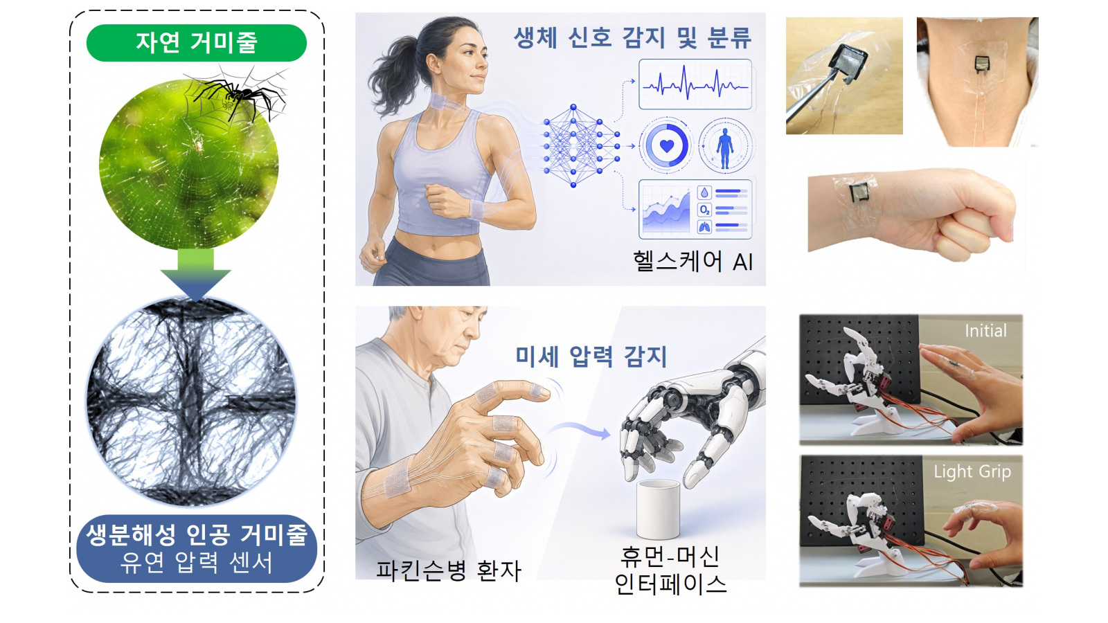 생분해성 인공 거미줄 압력센서의 생체신호 분석과 로봇손 제어 응용